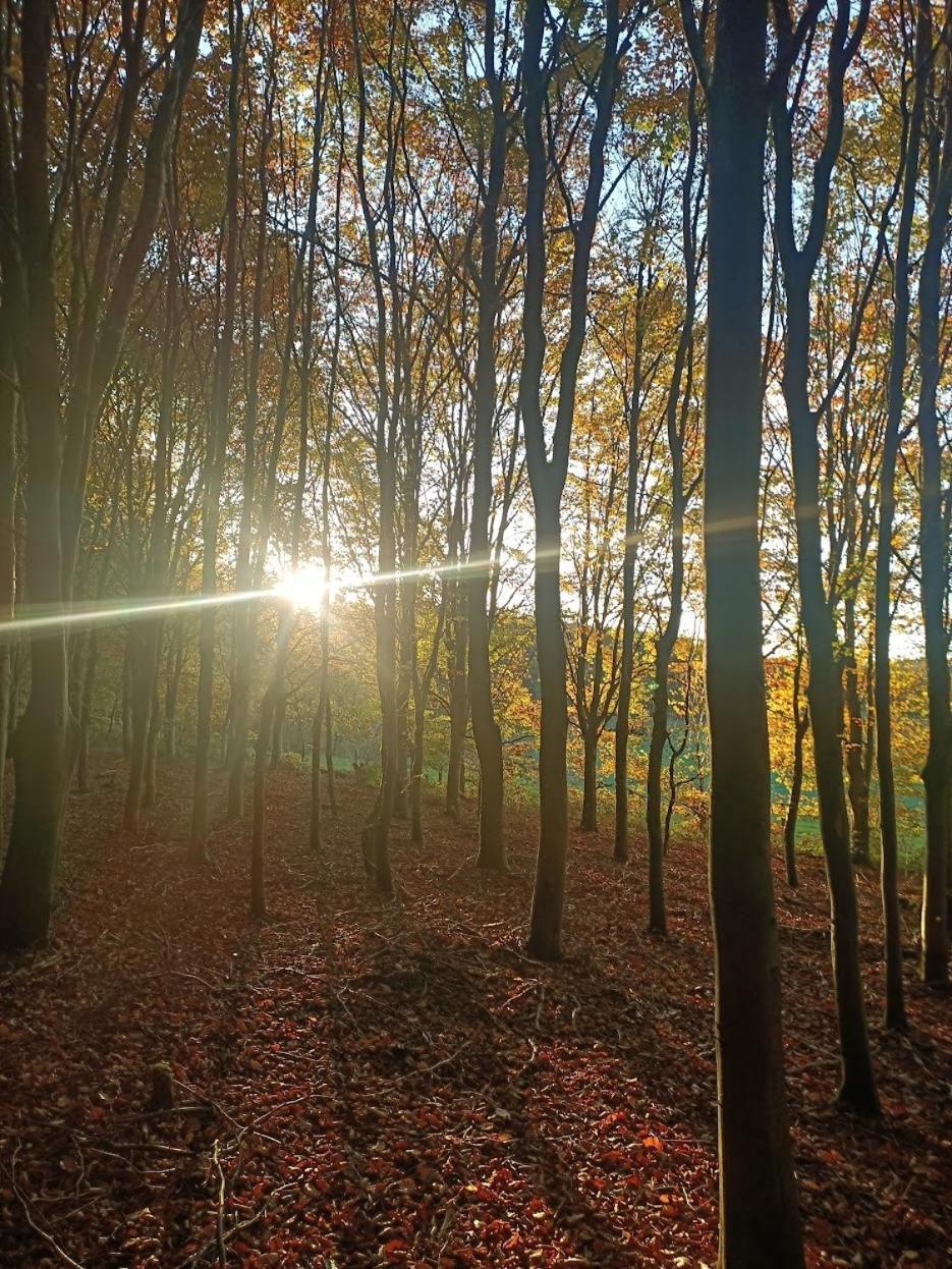 Dri Les Courtils Villa La-Roche-en-Ardenne Eksteriør billede