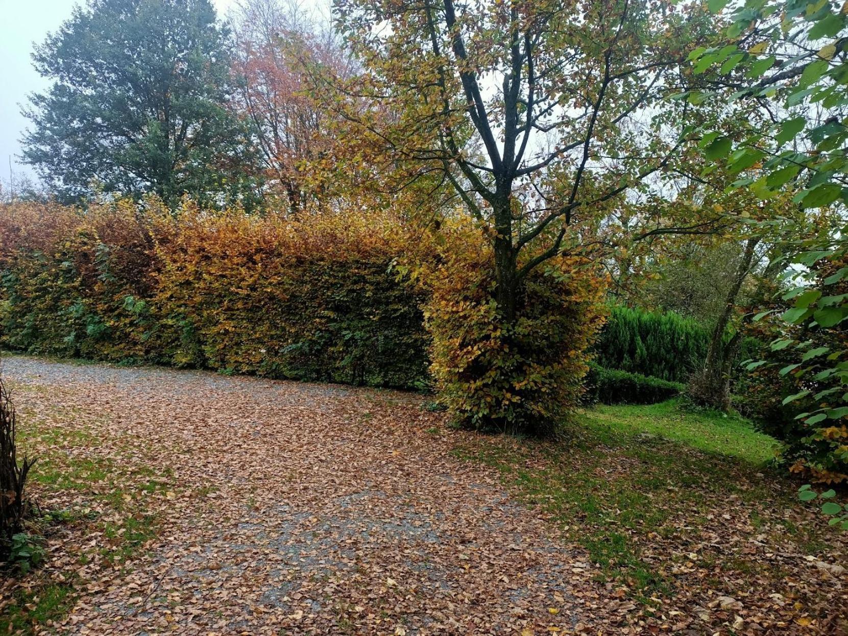 Dri Les Courtils Villa La-Roche-en-Ardenne Eksteriør billede